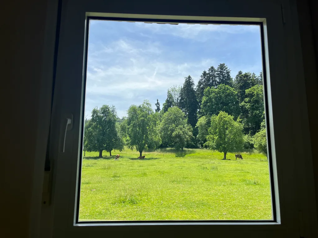 Aussicht ins Grüne