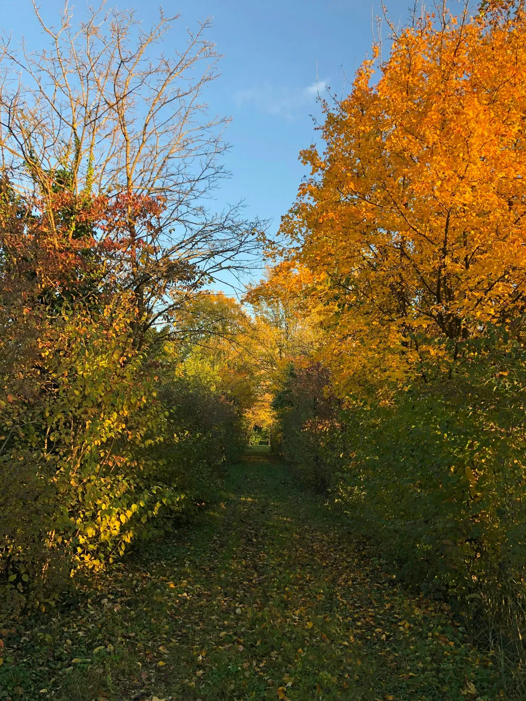 SERENITA' DELLA CAMPAGNA
