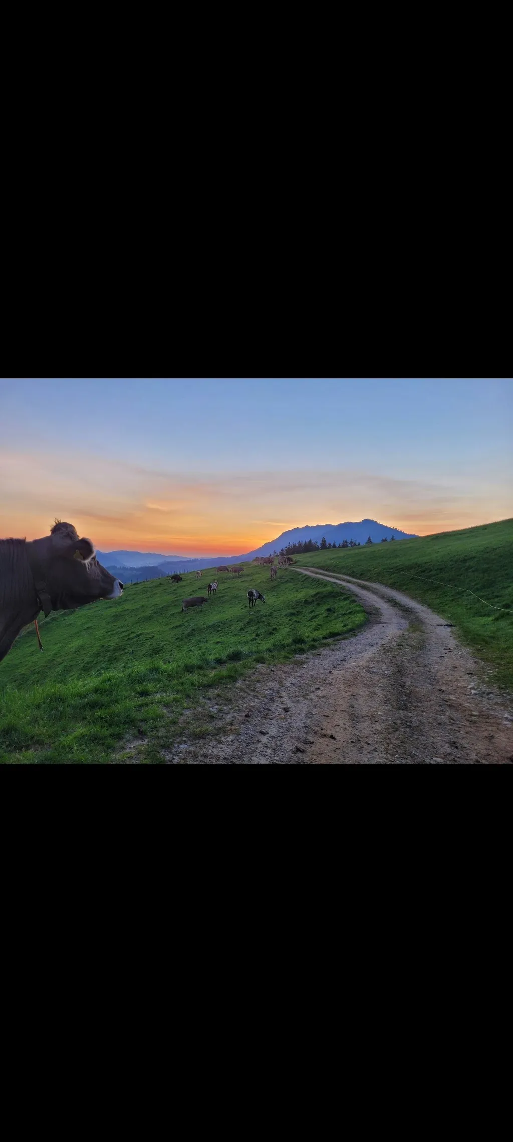 Hof-Camp Buchschachen