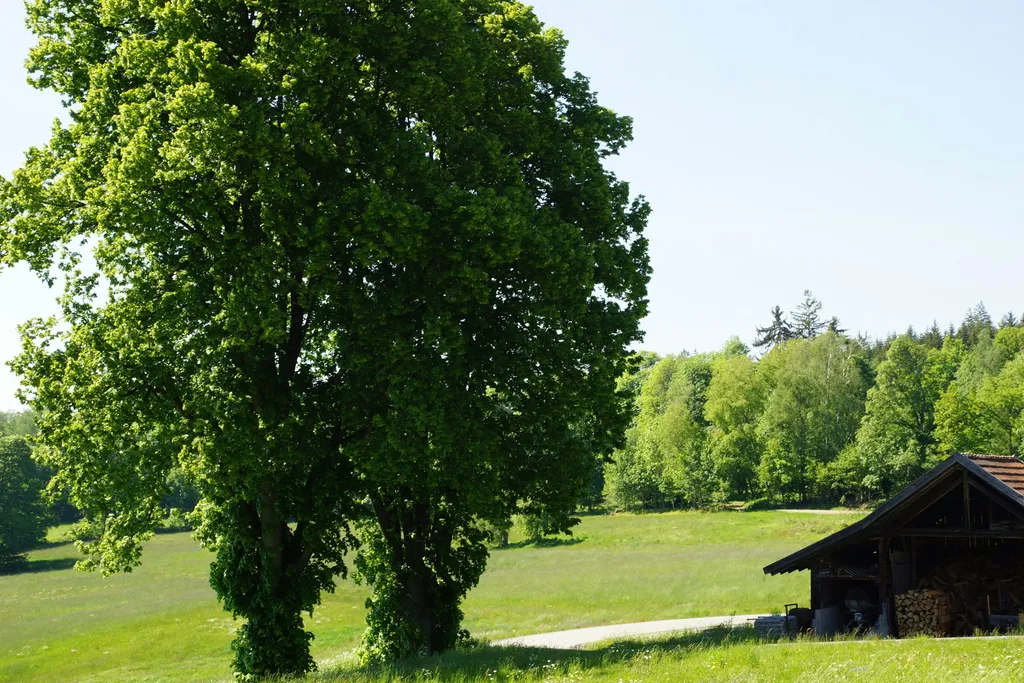 Ferienwohnungen Paukner AktivCard
