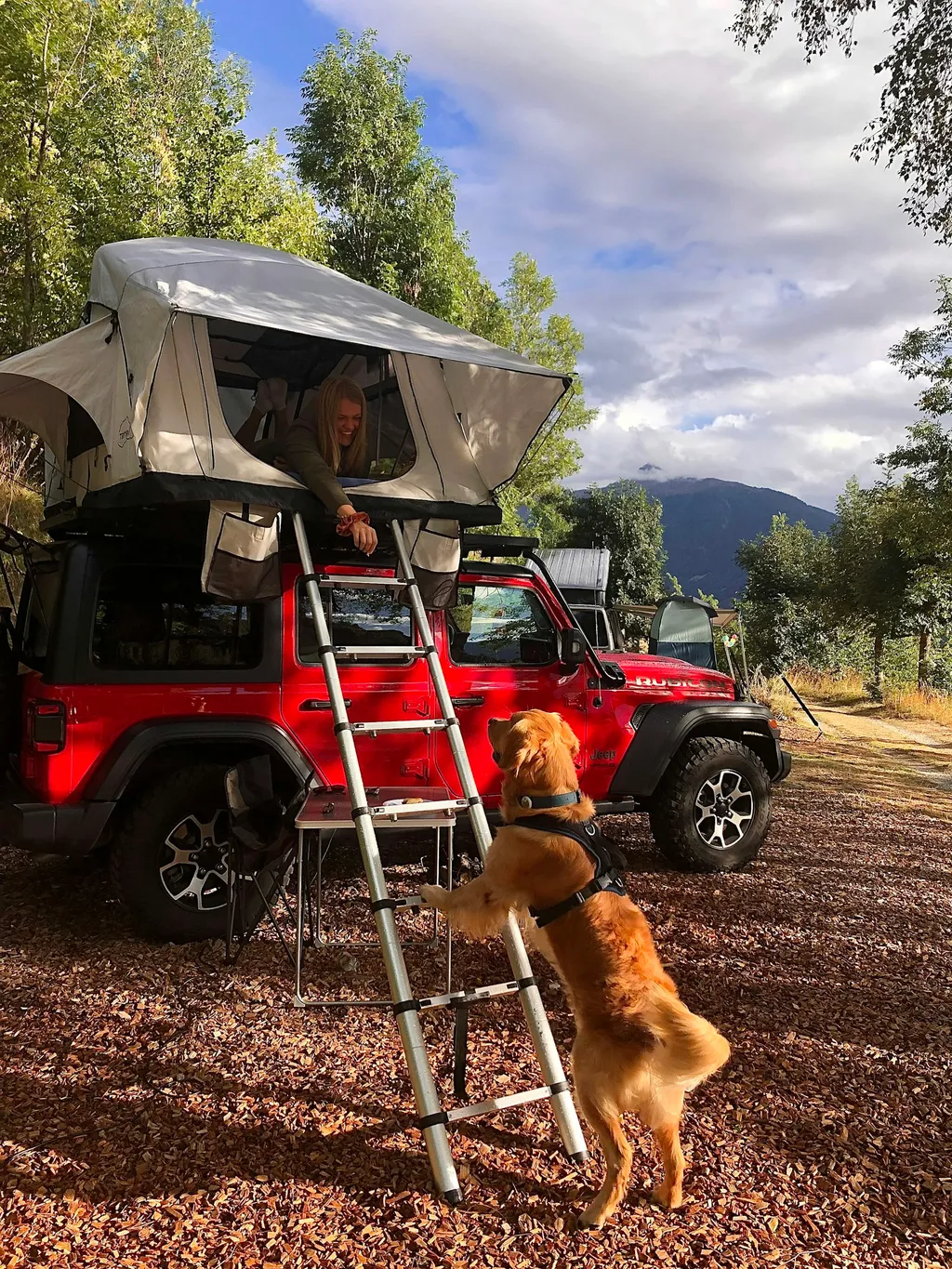 Profilbild von Corina