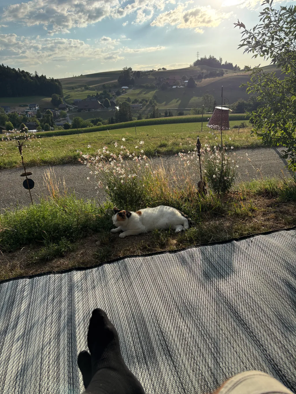 Bild von Urs für den Spot 106