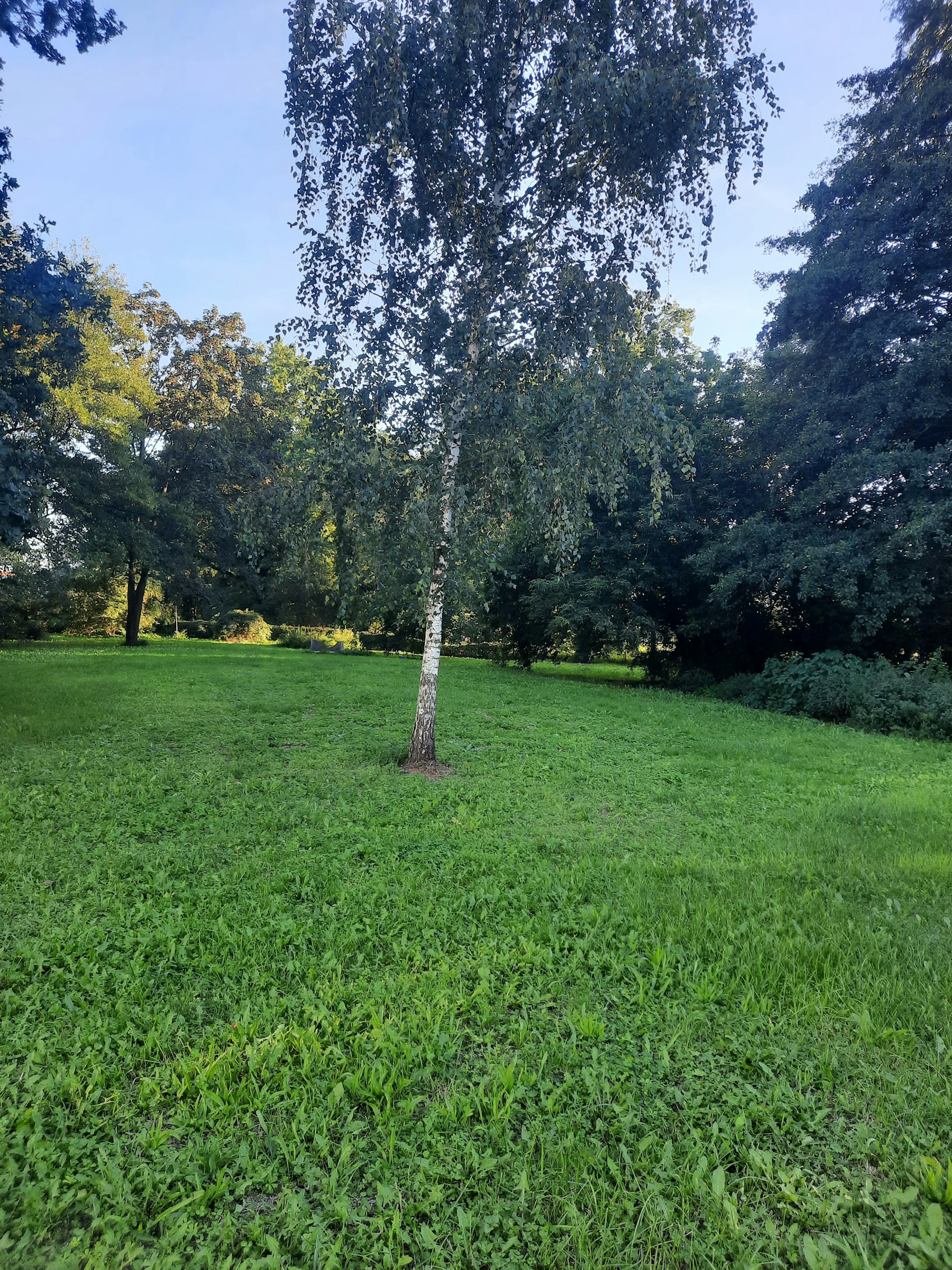 Wiese direkt am Fläming Skate