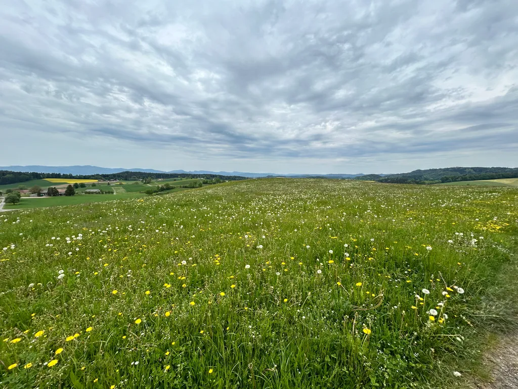 Bild von Emanuele für den Spot 351
