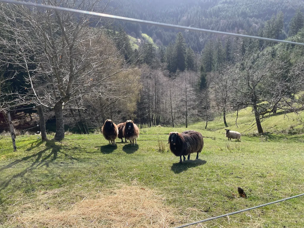 Bild von Tanja für den Spot 1441