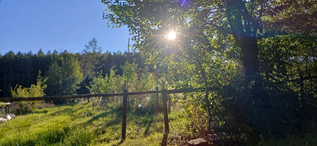 Spessart - Idylle