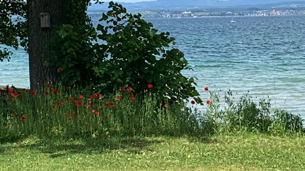 Echte Naturerlebnisse, umgeben von unberührter Natur.