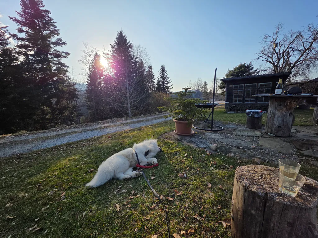 Bild von Peter für den Spot 396