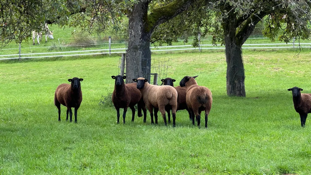 Bild von Annette für den Spot 78