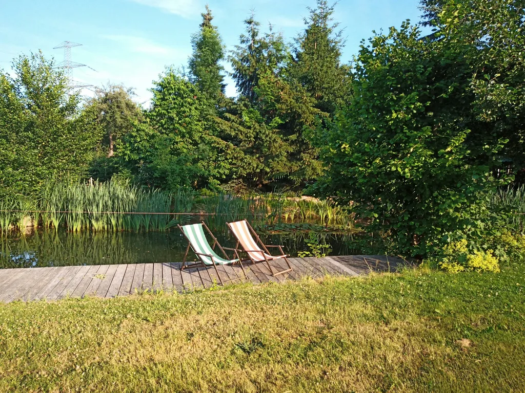 Sichere Wiese mit Naturteich