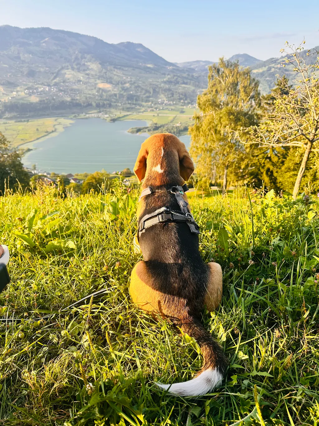 Bild von Laurence für den Spot 365