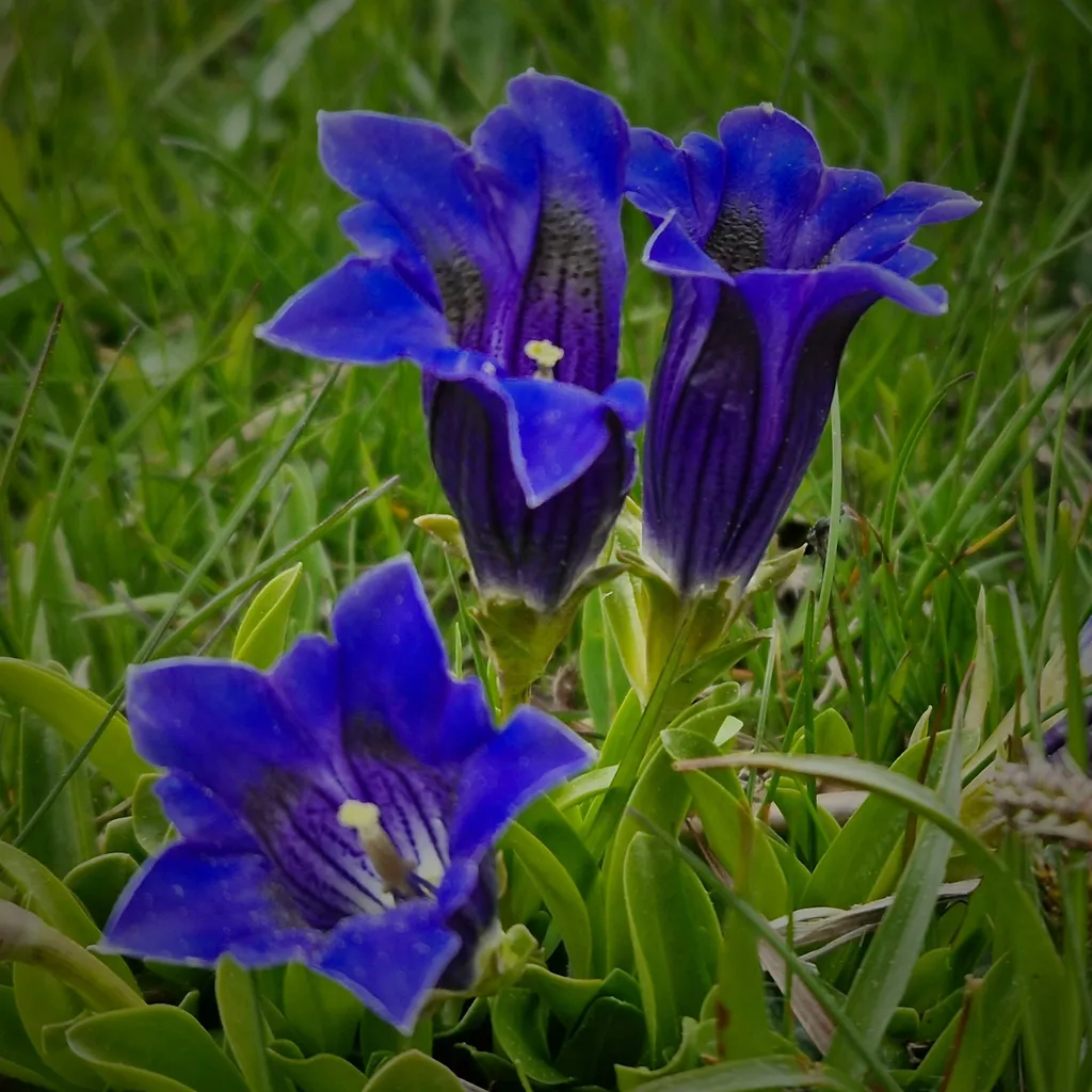 Patrick und Monika avatar