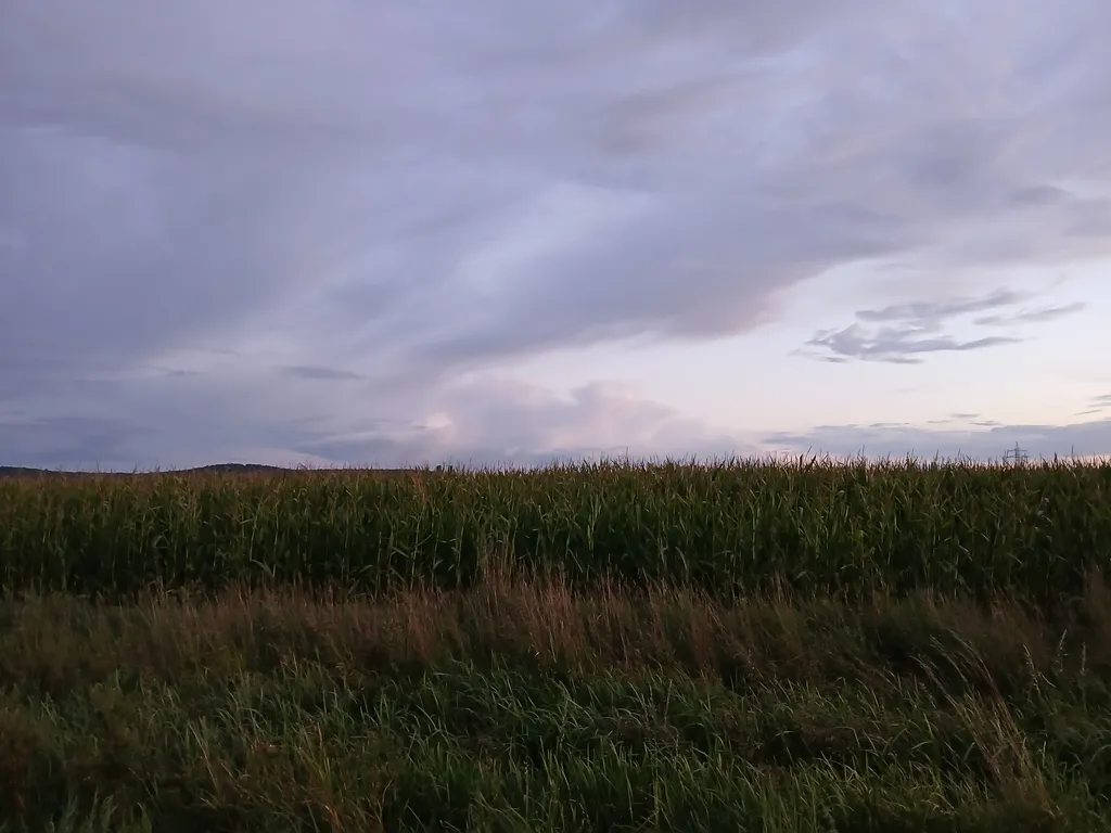 Bild von Markus für den Spot 1481