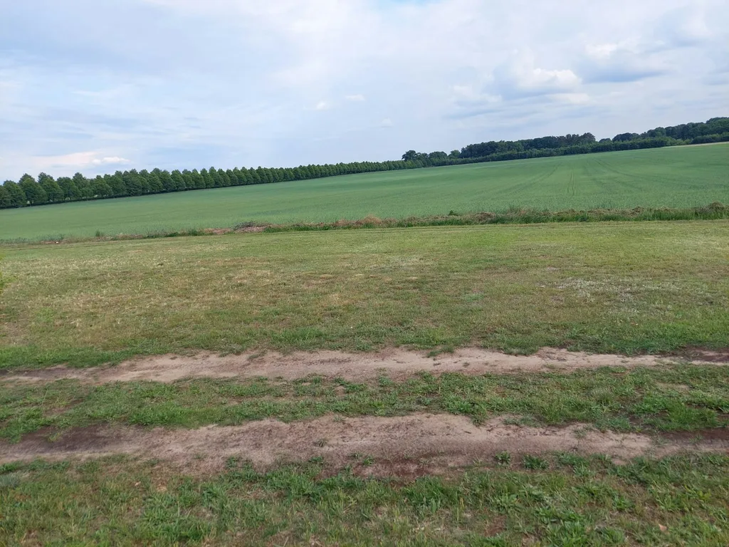 Natur Pur in Mecklenburg-Vorpommern
