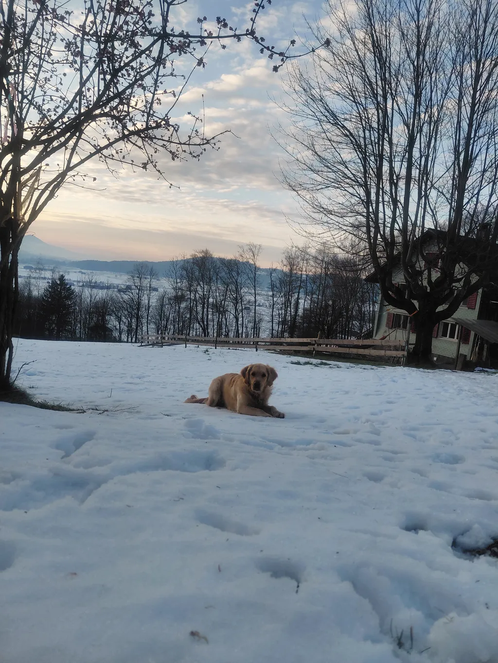 Bild von Simona für den Spot 4512