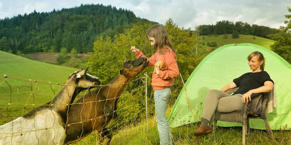 Naturbaden mit Blick auf Freiburg