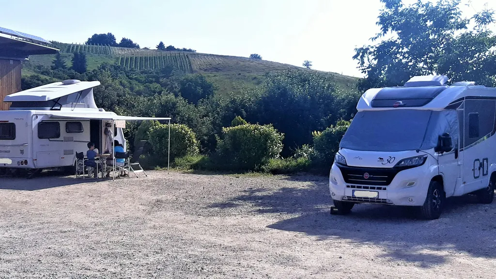 Idyllischer Platz beim Bio-Weingut