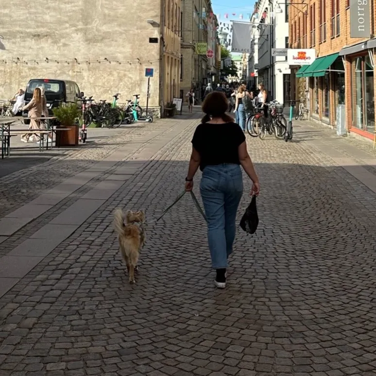 Profilbild von Petra