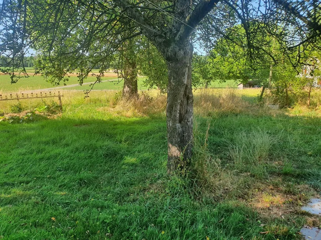 Augenweide