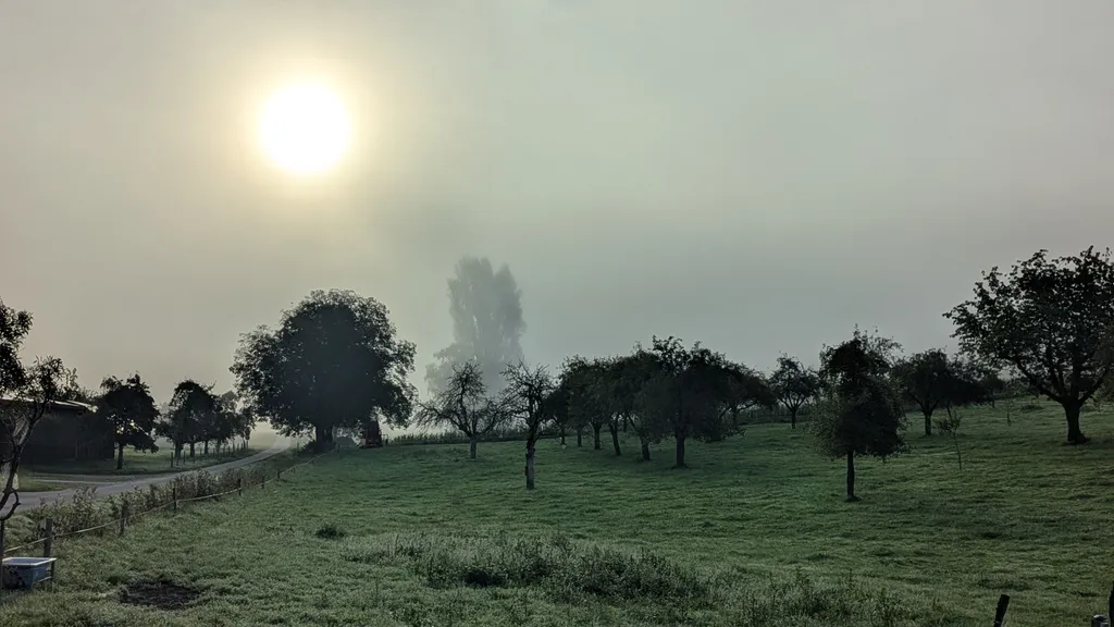 Bild von Mario für den Spot 745