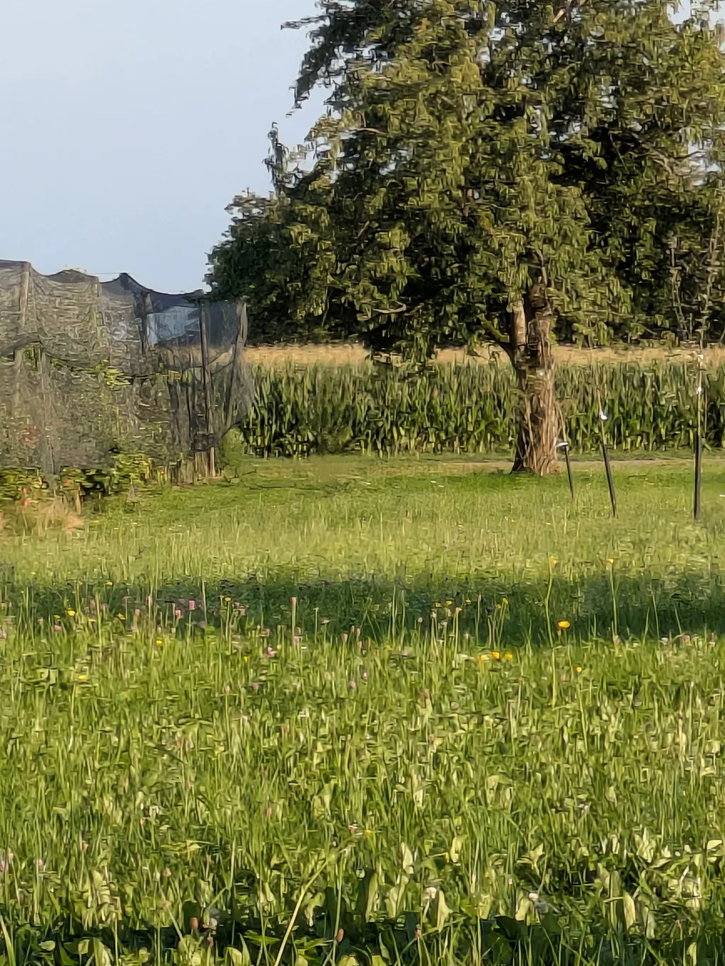 Bild von Désirée für den Spot 1621