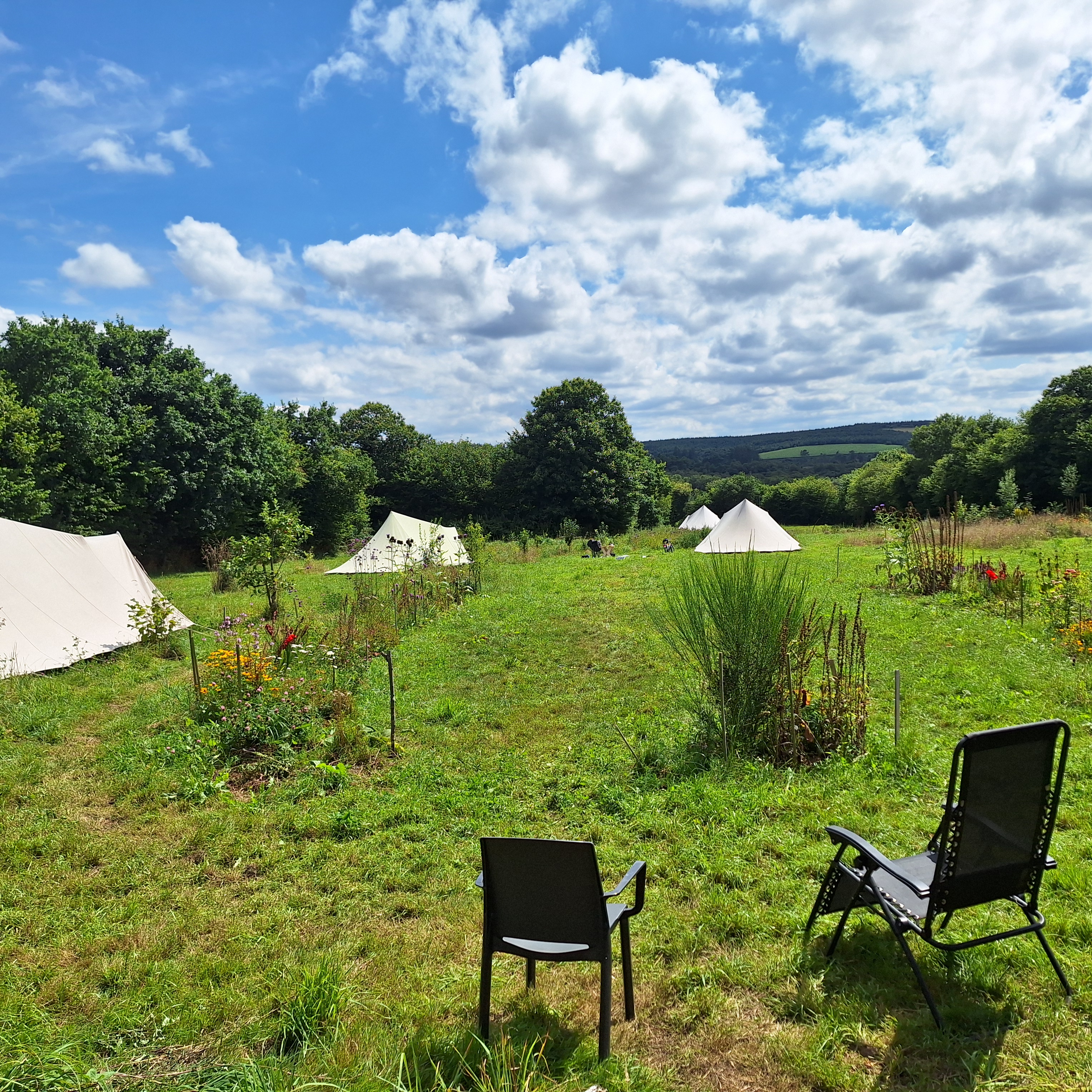 Rural micro farm with veggies for visitors