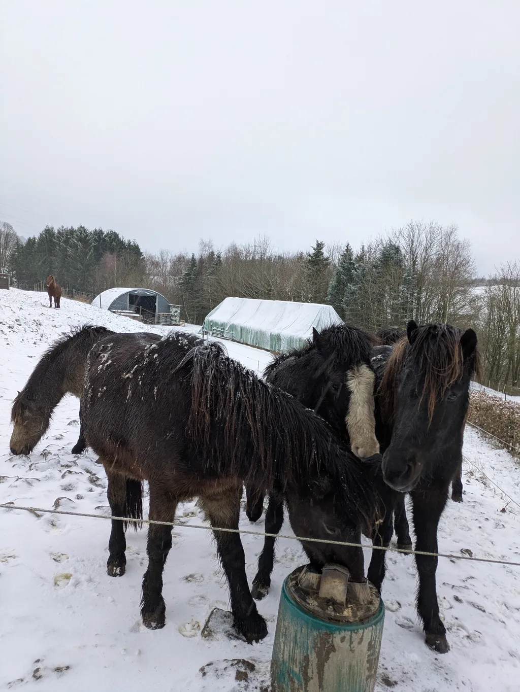 Image by She-La for spot 4264