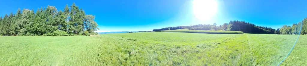 Wo sich Hase und Igel gute Nacht sagen