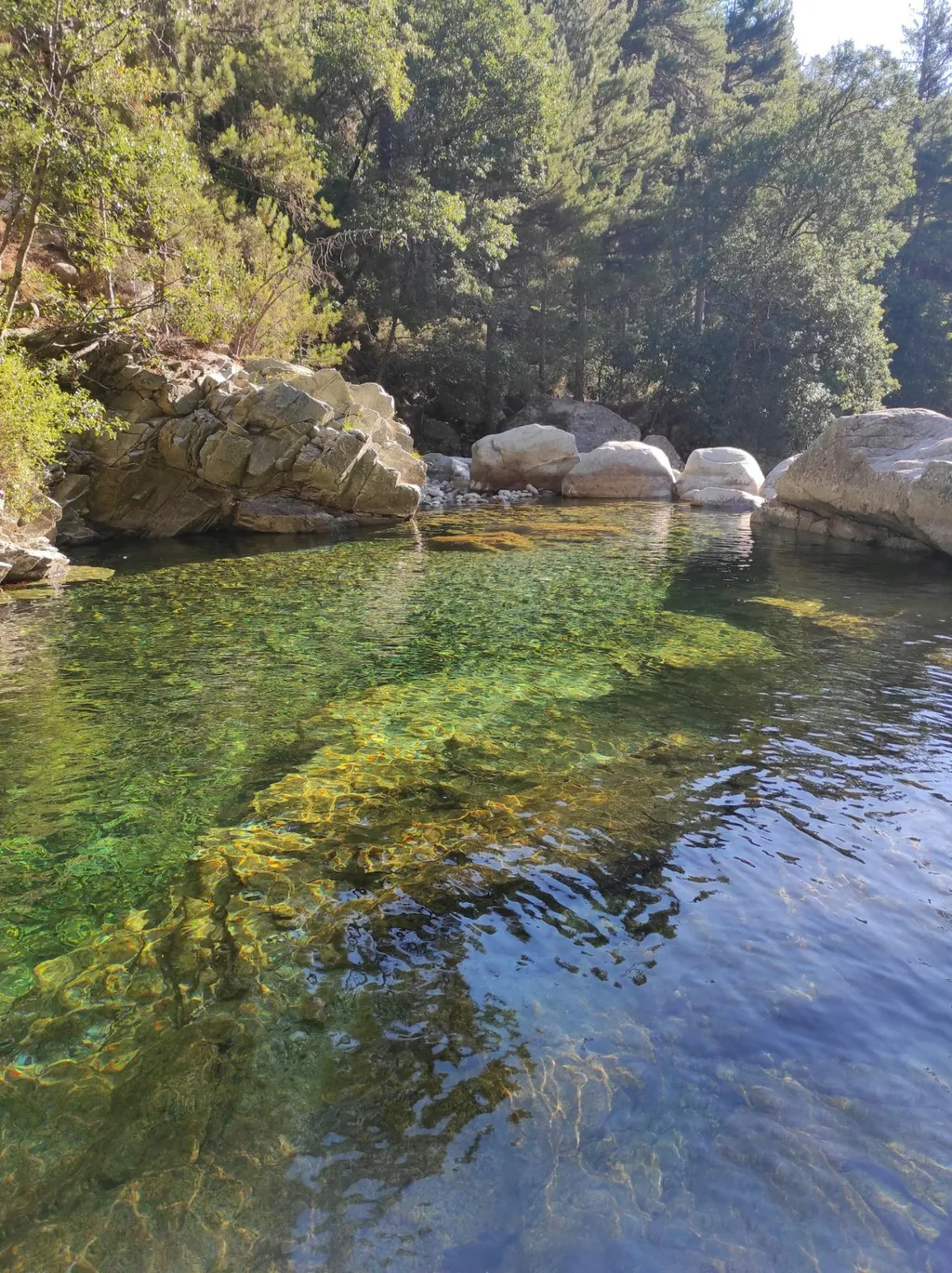 Schwimmen im kristallklaren Wasser ....
