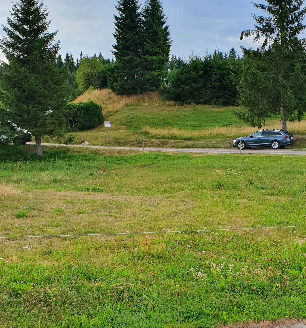 Wiese beim Schluchsee