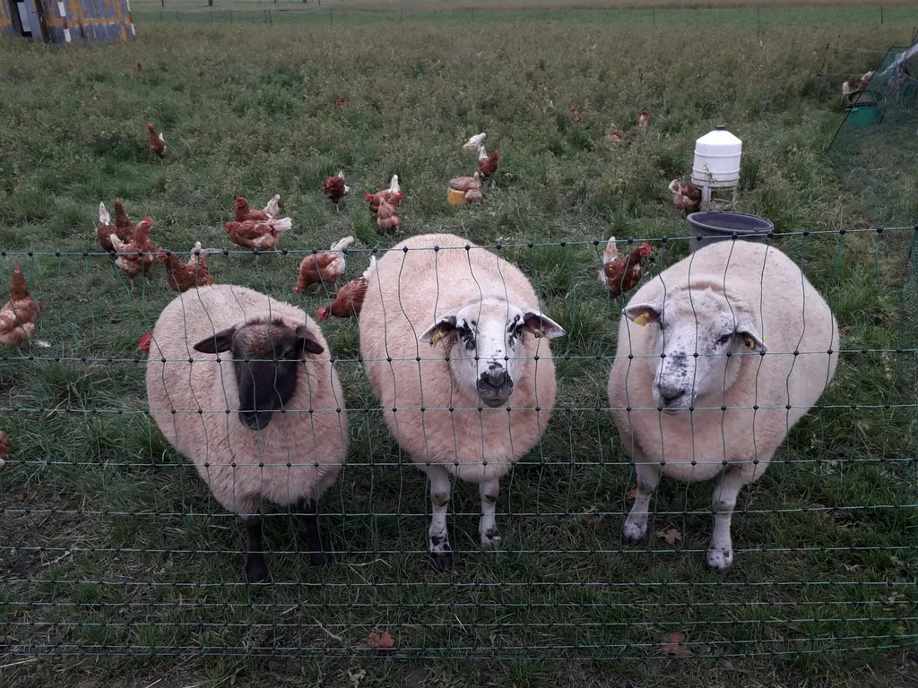 Teuflisch gut campen