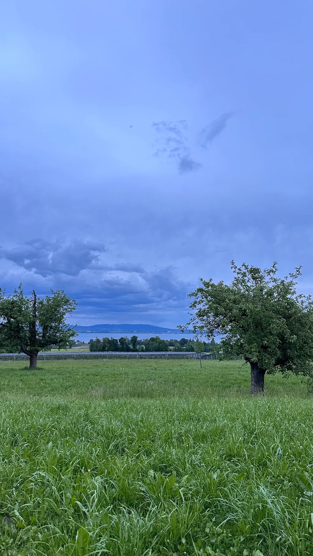 Bild von Esra für den Spot 90