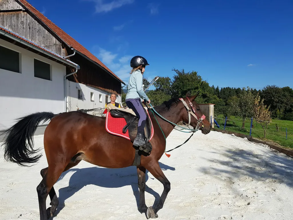 Camping Skill Horse Ranch