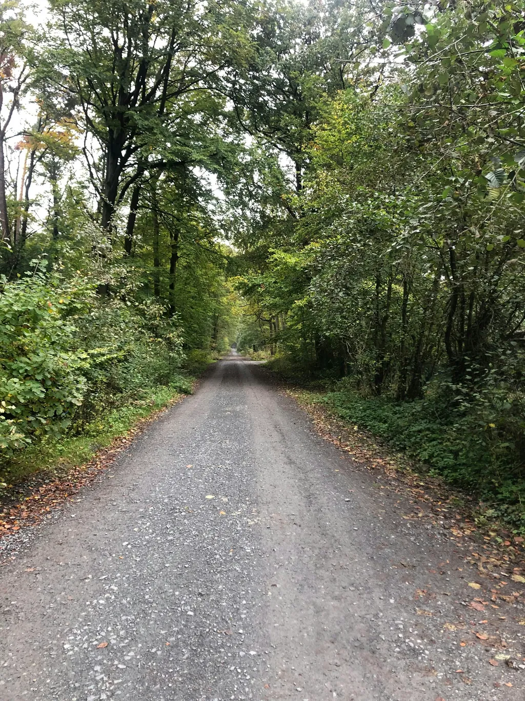 Haus Quelle Hinterhof im Taunuswald