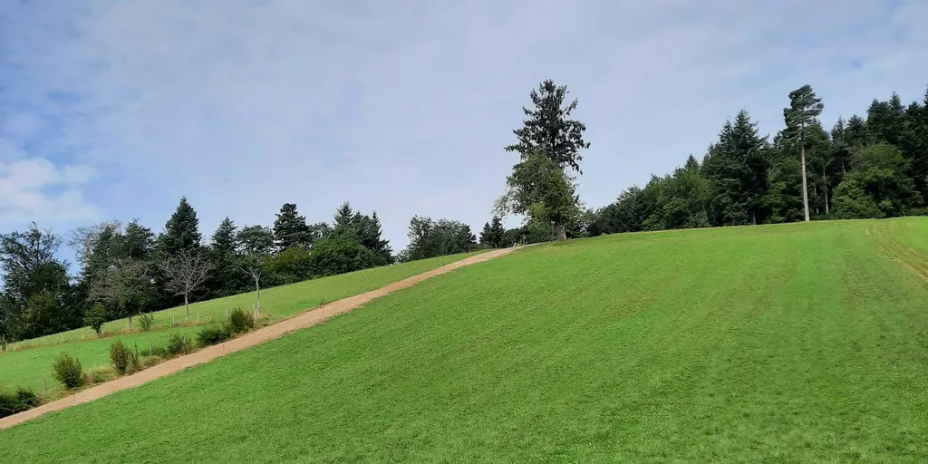 Naturbaden mit Blick auf Freiburg