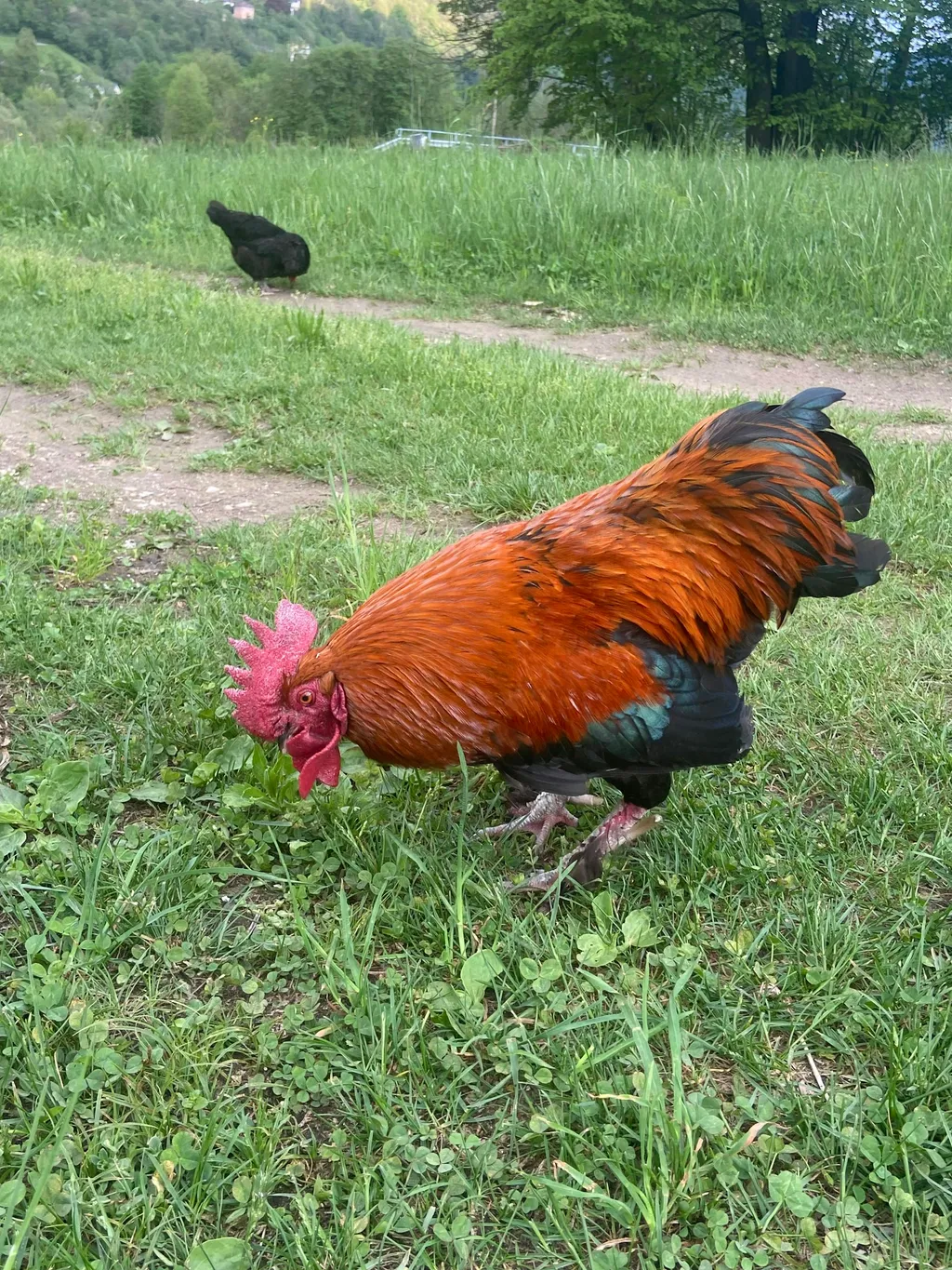 Profilbild von Petra