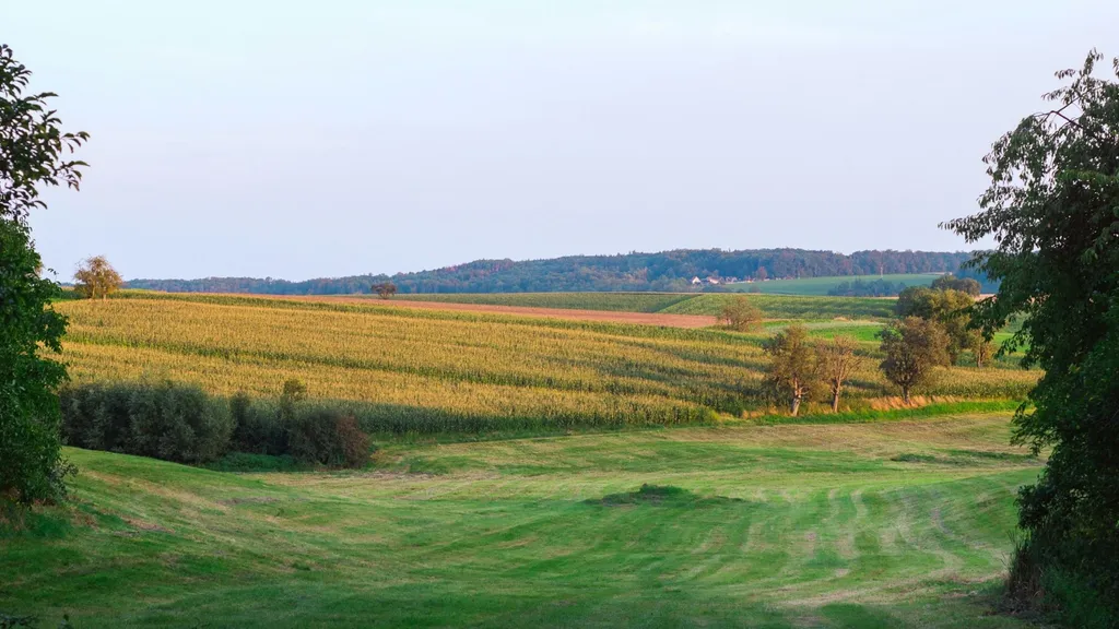 Stellplatz mit WC, Dusche & WLAN