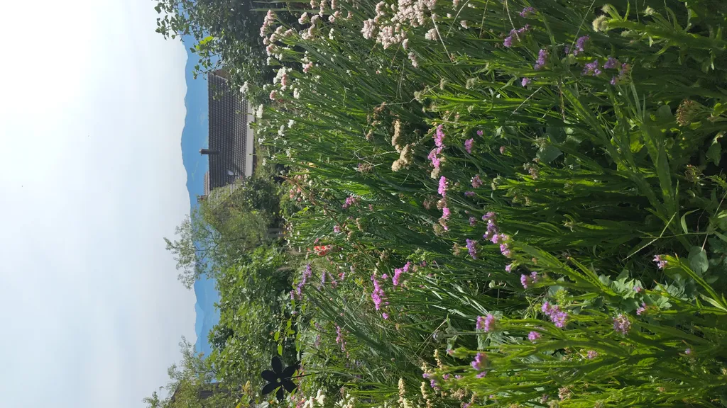 Bild von Claudia für den Spot 475