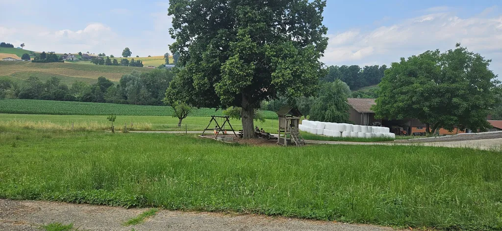 Bild von Catalina.L für den Spot 776
