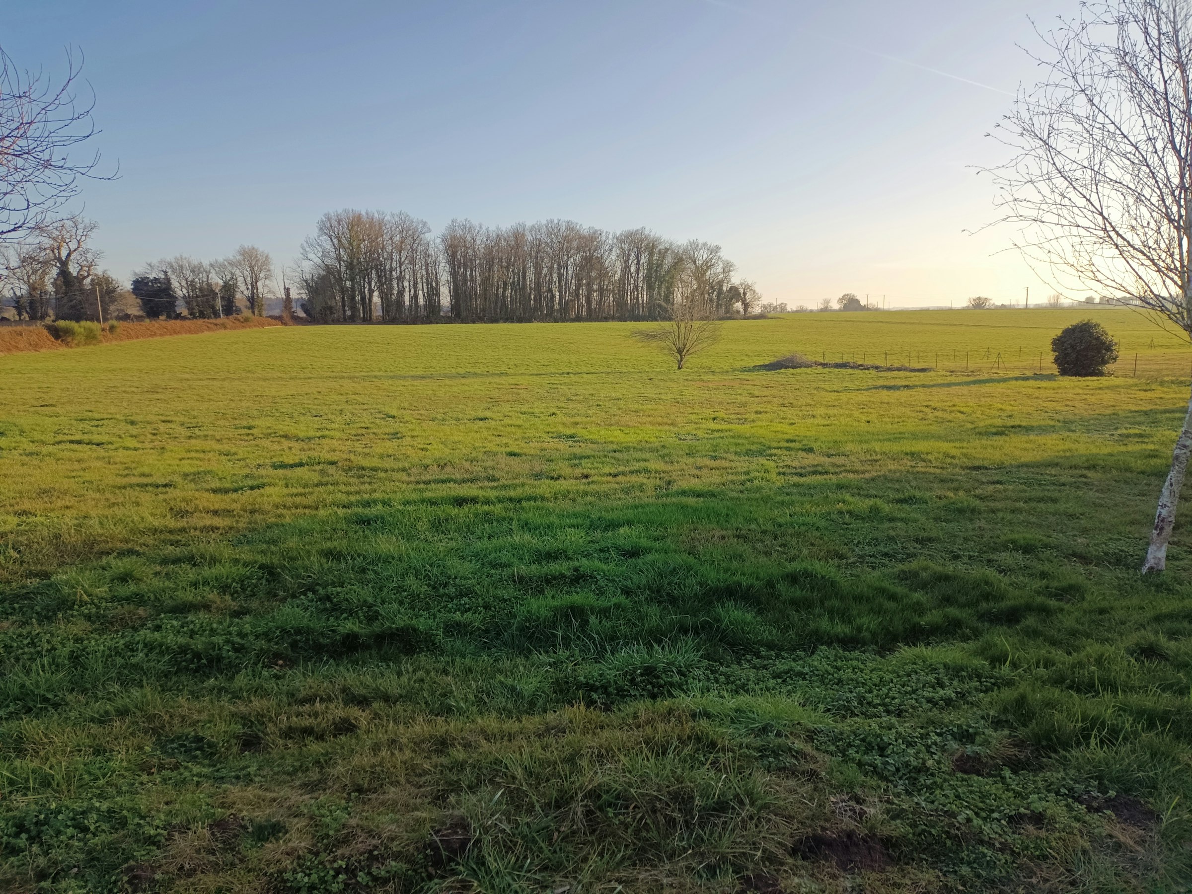 Ein Platz im Grünen