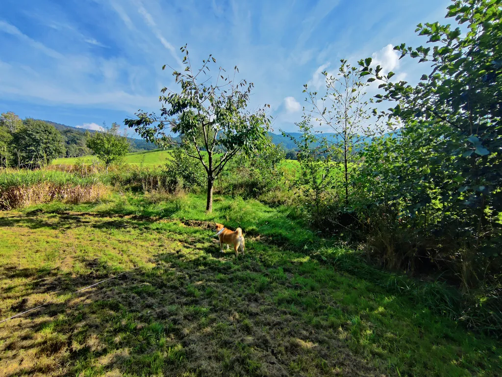 Bild von saufnudel90 für den Spot 3052