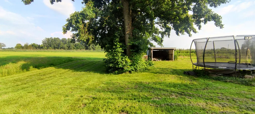 Campen im Moor nahe Krautsand