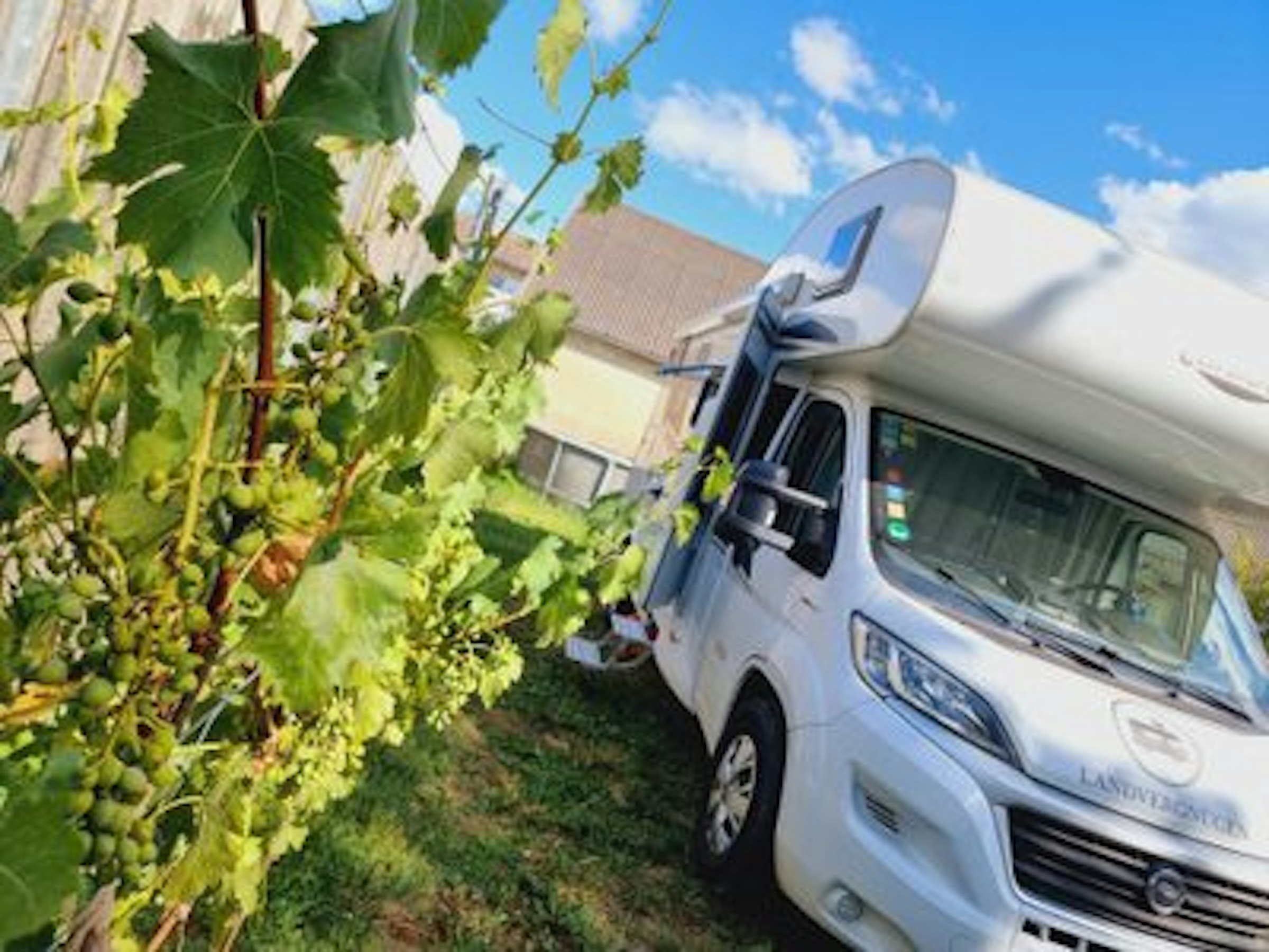 Stellplatz beim Buschenschank