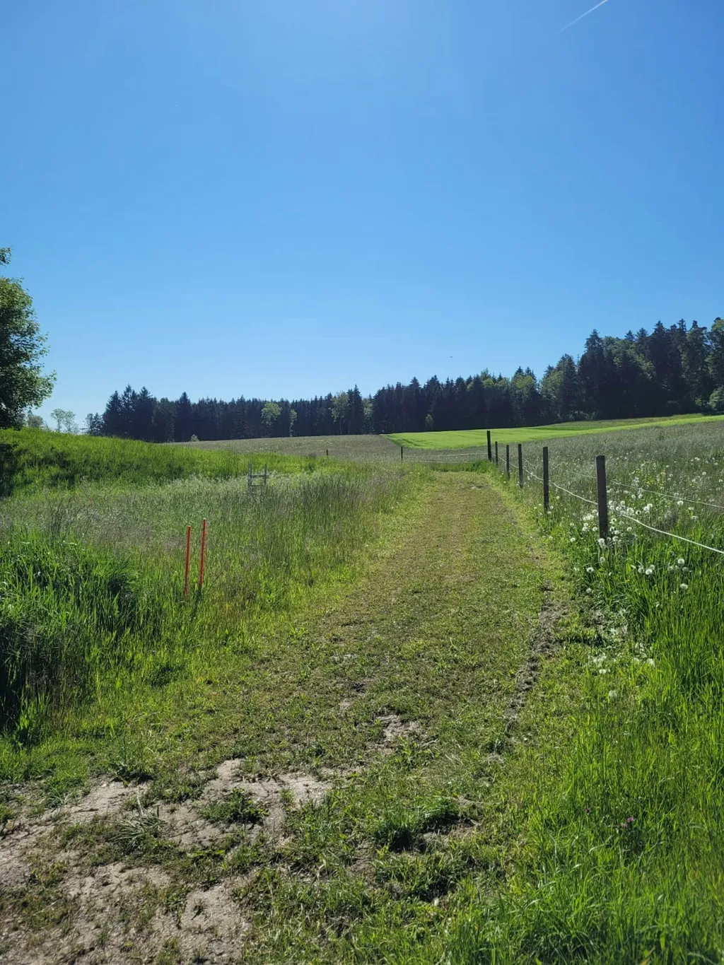 Dieser Weg ist immer gemäht. Die Wiese daneben kann gegen einen Aufpreis fürs Mähen ebenfalls benutzt werden. Bitte frühzeitig angeben!