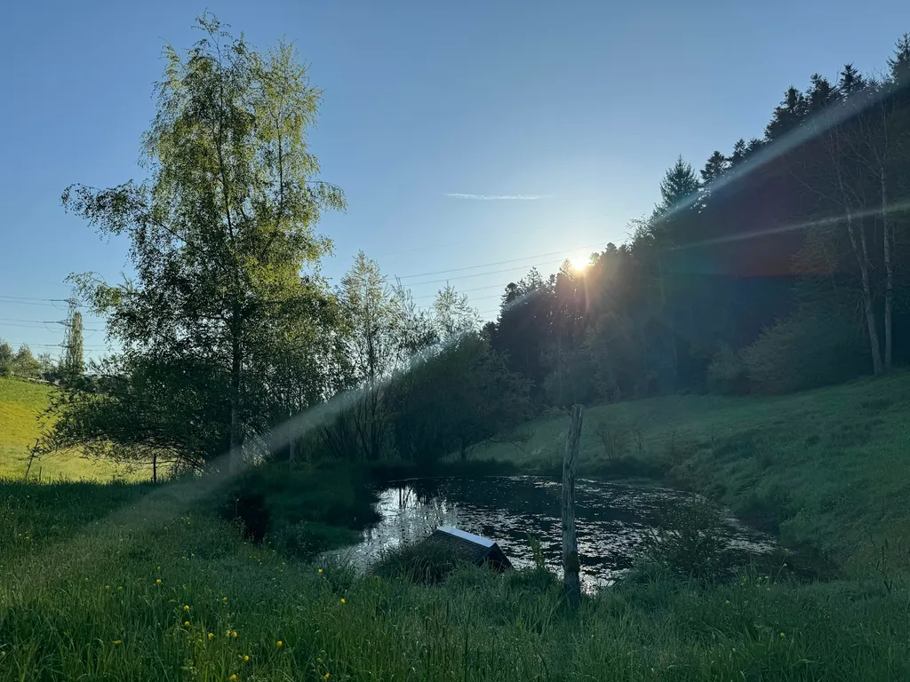 Wo Rehe weiden & der Kuckuck ruft