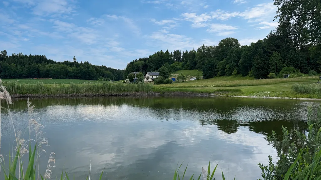 Our pond in the recreation area is about 120 m from the parking space, with tree shade, fishing, and much more.