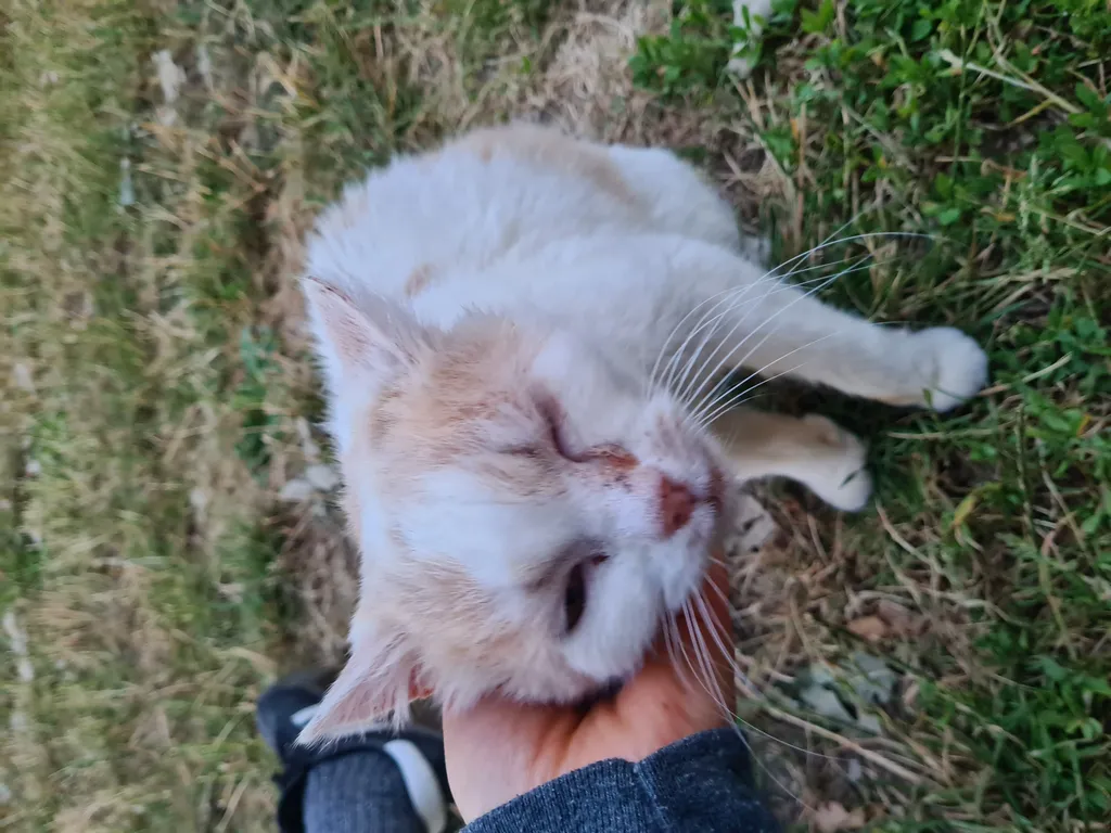 Bild von Leonie für den Spot 762