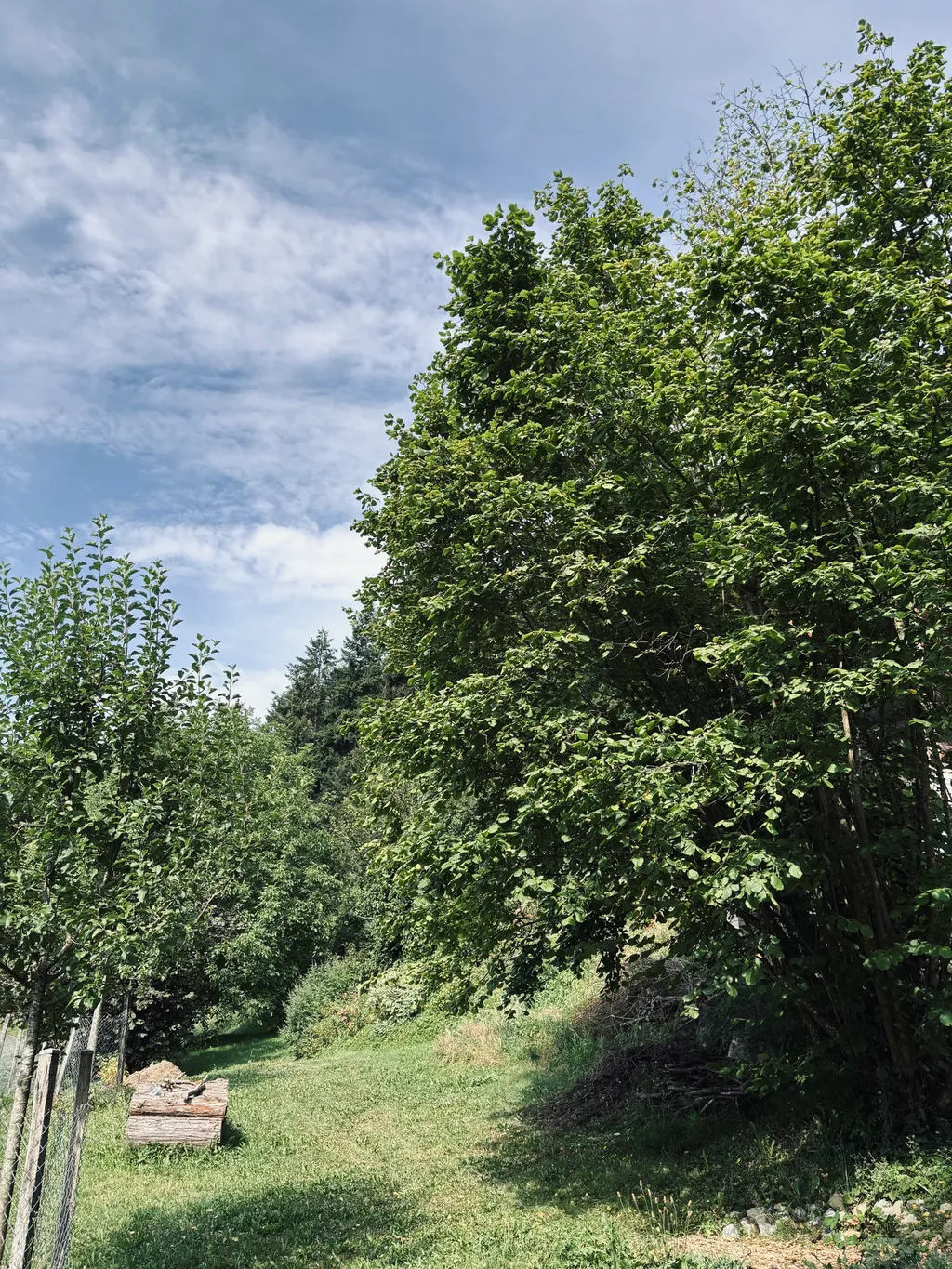 Bild von Philippe für den Spot 4254