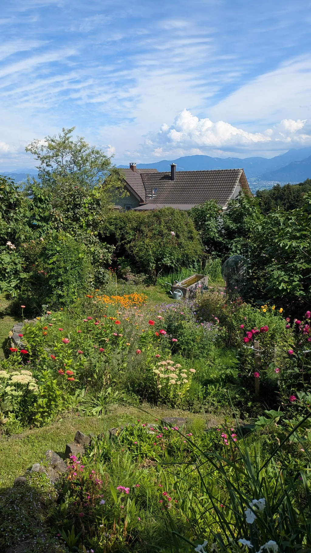 Bild von Diana für den Spot 475