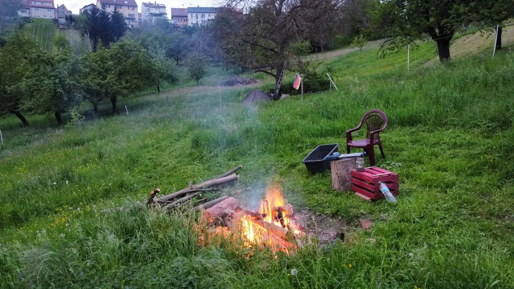 Abgelegene Senke am Walnussbaum